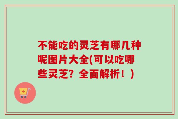 不能吃的灵芝有哪几种呢图片大全(可以吃哪些灵芝?全面解析!)-第1张图片-卓越灵芝孢子粉 不能吃的灵芝有哪几种呢图片大全(可以吃哪些灵芝?全面解析!)-第1张图片-卓越灵芝孢子粉