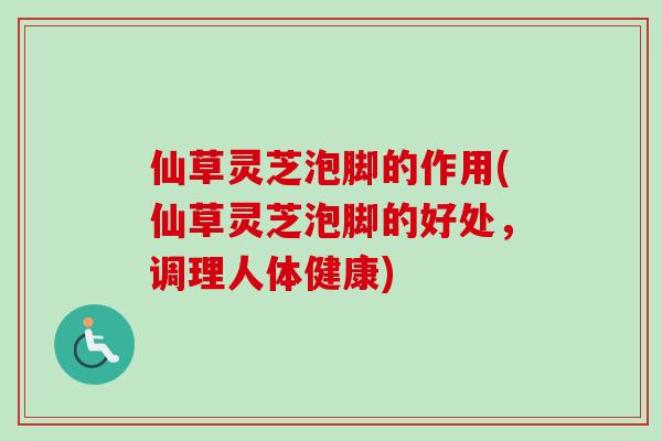 仙草灵芝泡脚的作用(仙草灵芝泡脚的好处,调理人体健康)-第1张图片-卓越灵芝孢子粉 仙草灵芝泡脚的作用(仙草灵芝泡脚的好处,调理人体健康)-第1张图片-卓越灵芝孢子粉