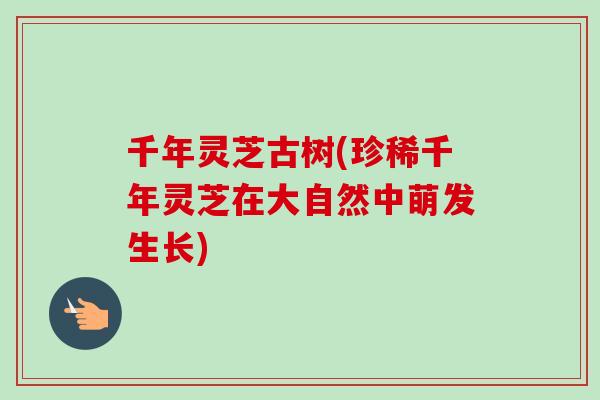 千年灵芝古树(珍稀千年灵芝在大自然中萌发生长)-第1张图片-卓越灵芝孢子粉 千年灵芝古树(珍稀千年灵芝在大自然中萌发生长)-第1张图片-卓越灵芝孢子粉