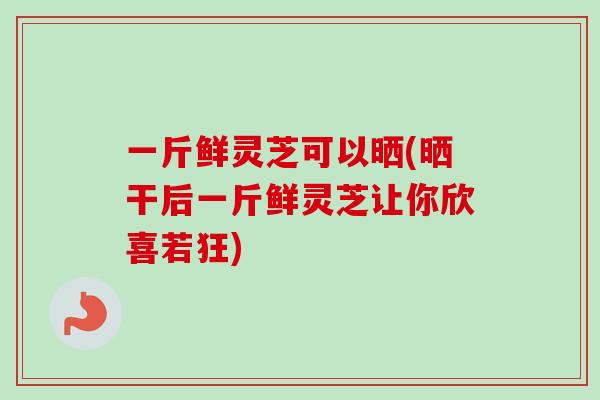 一斤鲜灵芝可以晒(晒干后一斤鲜灵芝让你欣喜若狂)-第1张图片-卓越灵芝孢子粉 一斤鲜灵芝可以晒(晒干后一斤鲜灵芝让你欣喜若狂)-第1张图片-卓越灵芝孢子粉