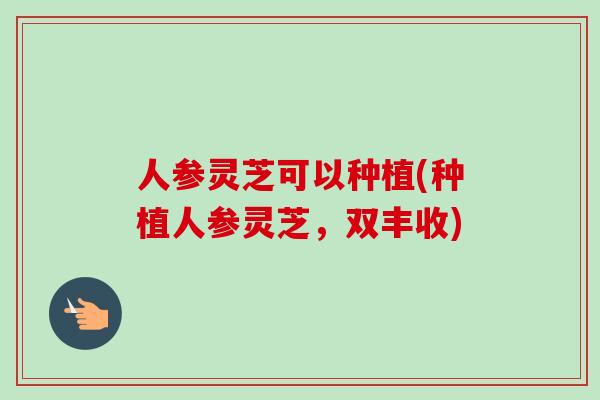 人参灵芝可以种植(种植人参灵芝,双丰收)-第1张图片-卓越灵芝孢子粉 人参灵芝可以种植(种植人参灵芝,双丰收)-第1张图片-卓越灵芝孢子粉