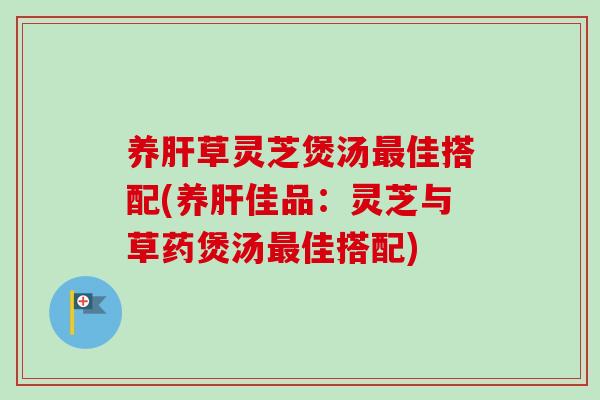 养肝草灵芝煲汤最佳搭配(养肝佳品：灵芝与草药煲汤最佳搭配)-第1张图片-卓越灵芝孢子粉