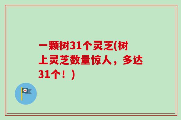 一颗树31个灵芝(树上灵芝数量惊人,多达31个!)-第1张图片-卓越灵芝孢子粉 一颗树31个灵芝(树上灵芝数量惊人,多达31个!)-第1张图片-卓越灵芝孢子粉