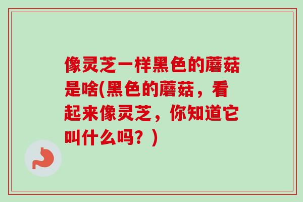 像灵芝一样黑色的蘑菇是啥(黑色的蘑菇，看起来像灵芝，你知道它叫什么吗？)-第1张图片-卓越灵芝孢子粉