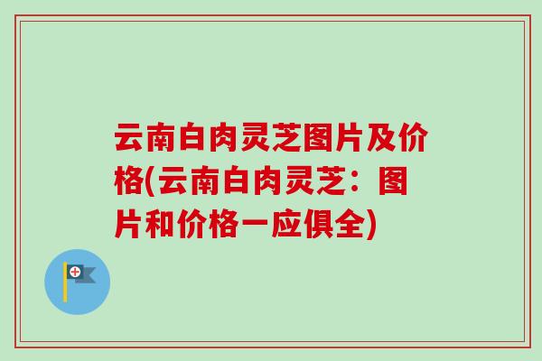 云南白肉灵芝图片及价格(云南白肉灵芝:图片和价格一应俱全)-第1张图片-卓越灵芝孢子粉 云南白肉灵芝图片及价格(云南白肉灵芝:图片和价格一应俱全)-第1张图片-卓越灵芝孢子粉