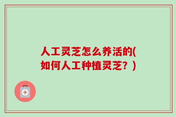 人工灵芝怎么养活的(如何人工种植灵芝？)-第1张图片-卓越灵芝孢子粉