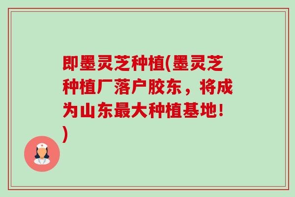 即墨灵芝种植(墨灵芝种植厂落户胶东，将成为山东最大种植基地！)-第1张图片-卓越灵芝孢子粉