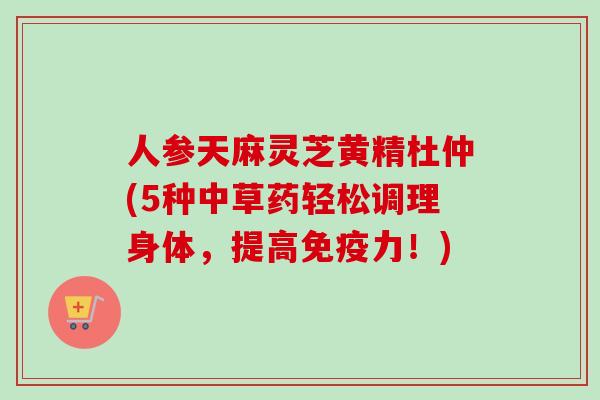 人参天麻灵芝黄精杜仲(5种中草药轻松调理身体，提高免疫力！)-第1张图片-卓越灵芝孢子粉