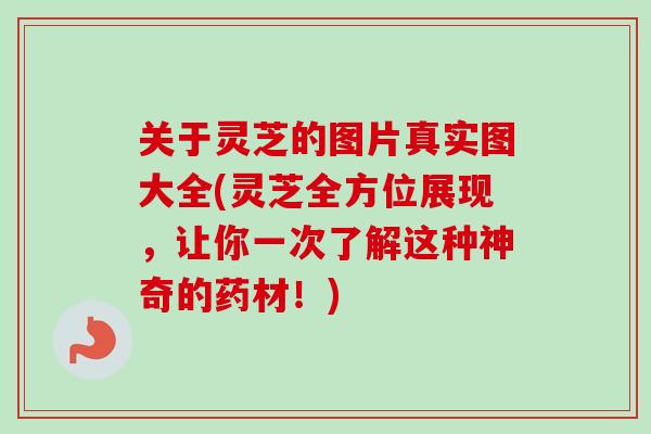 关于灵芝的图片真实图大全(灵芝全方位展现,让你一次了解这种神奇的药材!)-第1张图片-卓越灵芝孢子粉 关于灵芝的图片真实图大全(灵芝全方位展现,让你一次了解这种神奇的药材!)-第1张图片-卓越灵芝孢子粉