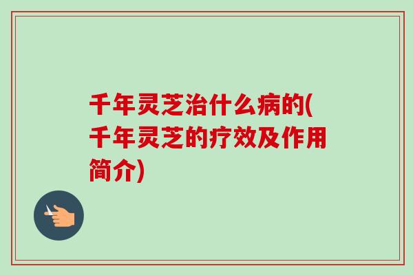 千年灵芝治什么病的(千年灵芝的疗效及作用简介)-第1张图片-卓越灵芝孢子粉 千年灵芝治什么病的(千年灵芝的疗效及作用简介)-第1张图片-卓越灵芝孢子粉