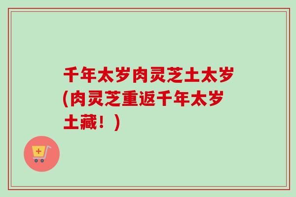 千年太岁肉灵芝土太岁(肉灵芝重返千年太岁土藏!)-第1张图片-卓越灵芝孢子粉 千年太岁肉灵芝土太岁(肉灵芝重返千年太岁土藏!)-第1张图片-卓越灵芝孢子粉