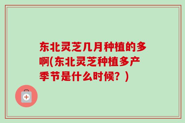 东北灵芝几月种植的多啊(东北灵芝种植多产季节是什么时候？)-第1张图片-卓越灵芝孢子粉