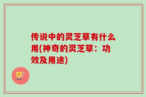 传说中的灵芝草有什么用(神奇的灵芝草:功效及用途)-第1张图片-卓越灵芝孢子粉 传说中的灵芝草有什么用(神奇的灵芝草:功效及用途)-第1张图片-卓越灵芝孢子粉
