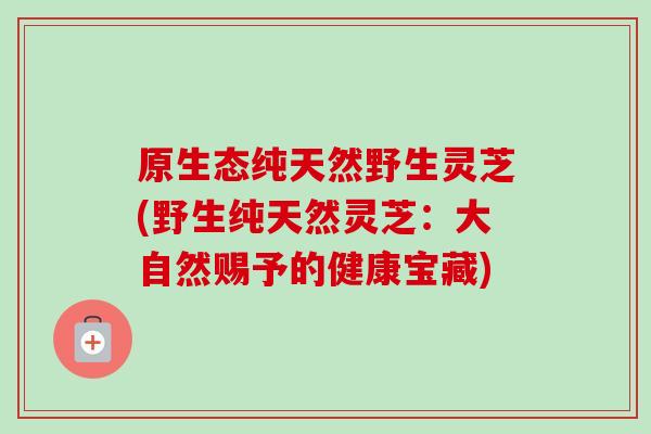 原生态纯天然野生灵芝(野生纯天然灵芝:大自然赐予的健康宝藏)-第1张图片-卓越灵芝孢子粉 原生态纯天然野生灵芝(野生纯天然灵芝:大自然赐予的健康宝藏)-第1张图片-卓越灵芝孢子粉