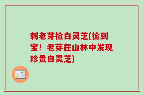 刺老芽捡白灵芝(捡到宝！老芽在山林中发现珍贵白灵芝)-第1张图片-卓越灵芝孢子粉