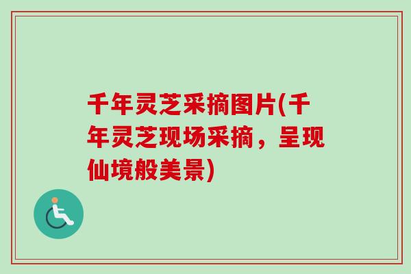 千年灵芝采摘图片(千年灵芝现场采摘,呈现仙境般美景)-第1张图片-卓越灵芝孢子粉 千年灵芝采摘图片(千年灵芝现场采摘,呈现仙境般美景)-第1张图片-卓越灵芝孢子粉