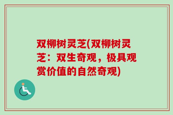 双柳树灵芝(双柳树灵芝：双生奇观，极具观赏价值的自然奇观)-第1张图片-卓越灵芝孢子粉