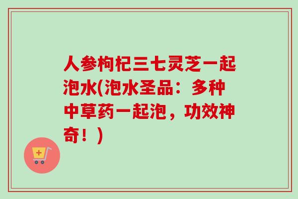 人参枸杞三七灵芝一起泡水(泡水圣品：多种中草药一起泡，功效神奇！)-第1张图片-卓越灵芝孢子粉