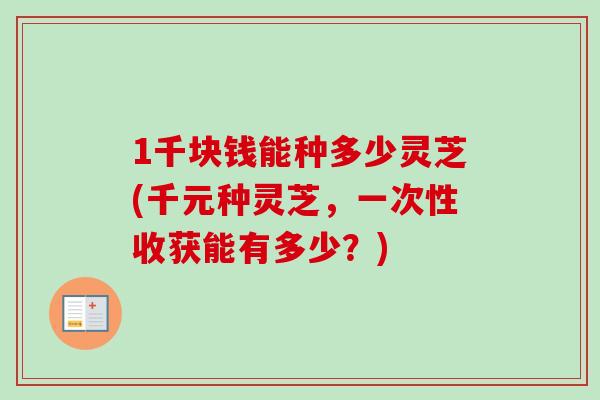 1千块钱能种多少灵芝(千元种灵芝，一次性收获能有多少？)-第1张图片-卓越灵芝孢子粉
