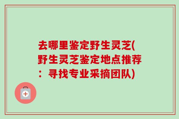 去哪里鉴定野生灵芝(野生灵芝鉴定地点推荐:寻找专业采摘团队)-第1张图片-卓越灵芝孢子粉 去哪里鉴定野生灵芝(野生灵芝鉴定地点推荐:寻找专业采摘团队)-第1张图片-卓越灵芝孢子粉