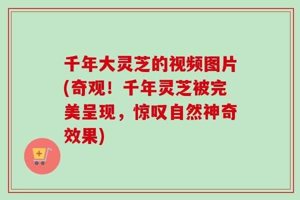 千年大灵芝的视频图片(奇观!千年灵芝被完美呈现,惊叹自然神奇效果)-第1张图片-卓越灵芝孢子粉 千年大灵芝的视频图片(奇观!千年灵芝被完美呈现,惊叹自然神奇效果)-第1张图片-卓越灵芝孢子粉