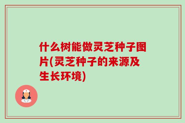 什么树能做灵芝种子图片(灵芝种子的来源及生长环境)-第1张图片-卓越灵芝孢子粉 什么树能做灵芝种子图片(灵芝种子的来源及生长环境)-第1张图片-卓越灵芝孢子粉
