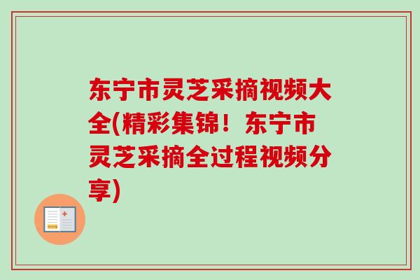 东宁市灵芝采摘视频大全(精彩集锦!东宁市灵芝采摘全过程视频分享)-第1张图片-卓越灵芝孢子粉 东宁市灵芝采摘视频大全(精彩集锦!东宁市灵芝采摘全过程视频分享)-第1张图片-卓越灵芝孢子粉