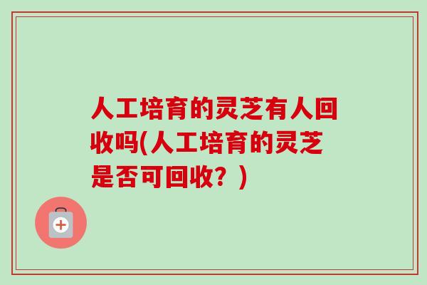 人工培育的灵芝有人回收吗(人工培育的灵芝是否可回收？)-第1张图片-卓越灵芝孢子粉