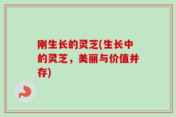 刚生长的灵芝(生长中的灵芝，美丽与价值并存)-第1张图片-卓越灵芝孢子粉