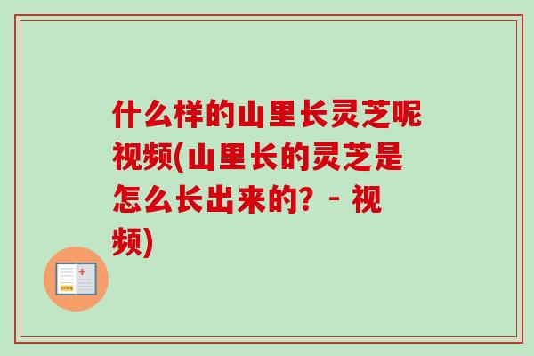 什么样的山里长灵芝呢视频(山里长的灵芝是怎么长出来的？- 视频)-第1张图片-卓越灵芝孢子粉