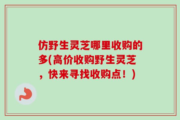 仿野生灵芝哪里收购的多(高价收购野生灵芝,快来寻找收购点!)-第1张图片-卓越灵芝孢子粉 仿野生灵芝哪里收购的多(高价收购野生灵芝,快来寻找收购点!)-第1张图片-卓越灵芝孢子粉