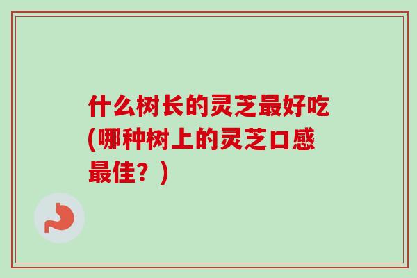 什么树长的灵芝最好吃(哪种树上的灵芝口感最佳?)-第1张图片-卓越灵芝孢子粉 什么树长的灵芝最好吃(哪种树上的灵芝口感最佳?)-第1张图片-卓越灵芝孢子粉