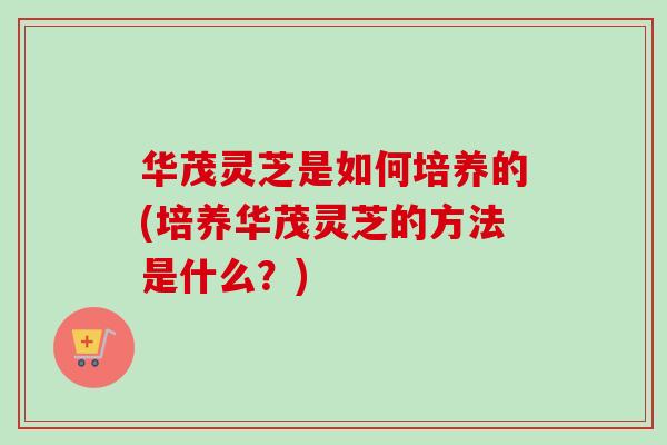 华茂灵芝是如何培养的(培养华茂灵芝的方法是什么？)-第1张图片-卓越灵芝孢子粉