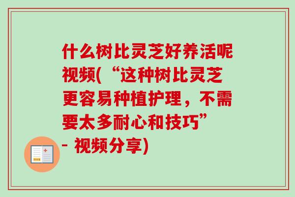 什么树比灵芝好养活呢视频(“这种树比灵芝更容易种植护理，不需要太多耐心和技巧” - 视频分享)-第1张图片-卓越灵芝孢子粉