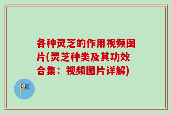 各种灵芝的作用视频图片(灵芝种类及其功效合集：视频图片详解)-第1张图片-卓越灵芝孢子粉