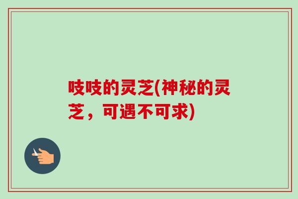 吱吱的灵芝(神秘的灵芝，可遇不可求)-第1张图片-卓越灵芝孢子粉