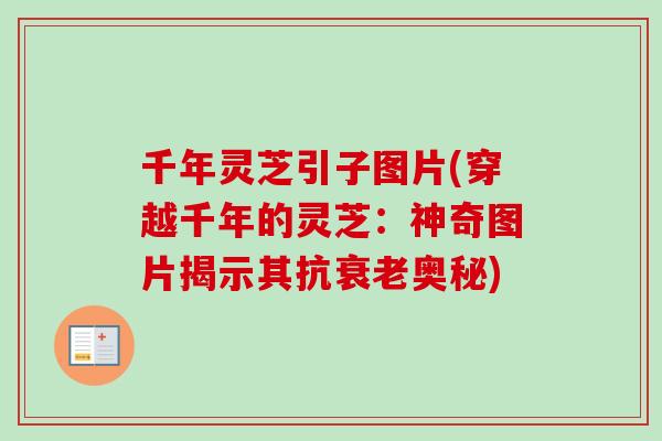千年灵芝引子图片(穿越千年的灵芝：神奇图片揭示其抗衰老奥秘)-第1张图片-卓越灵芝孢子粉