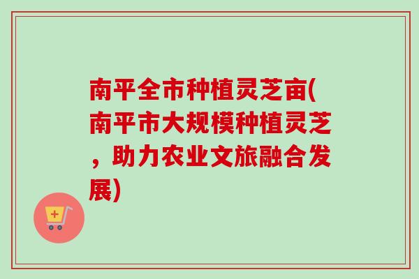 南平全市种植灵芝亩(南平市大规模种植灵芝,助力农业文旅融合发展)-第1张图片-卓越灵芝孢子粉 南平全市种植灵芝亩(南平市大规模种植灵芝,助力农业文旅融合发展)-第1张图片-卓越灵芝孢子粉