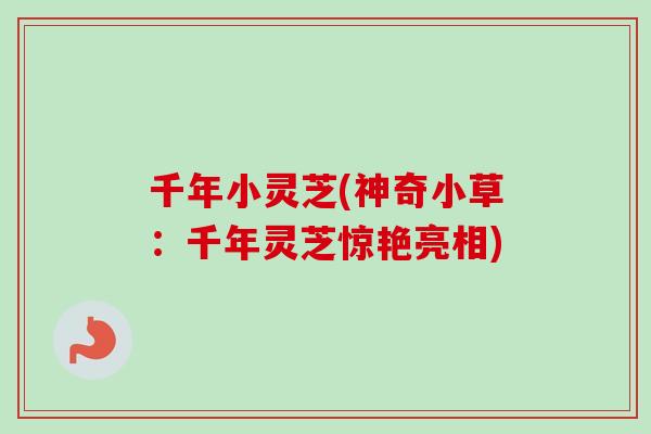 千年小灵芝(神奇小草:千年灵芝惊艳亮相)-第1张图片-卓越灵芝孢子粉 千年小灵芝(神奇小草:千年灵芝惊艳亮相)-第1张图片-卓越灵芝孢子粉