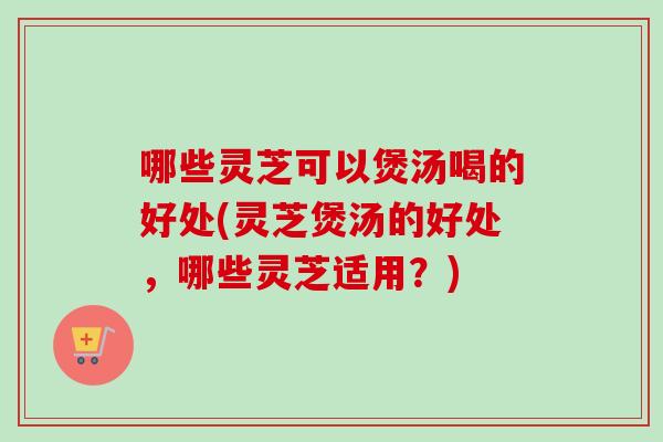 哪些灵芝可以煲汤喝的好处(灵芝煲汤的好处，哪些灵芝适用？)-第1张图片-卓越灵芝孢子粉