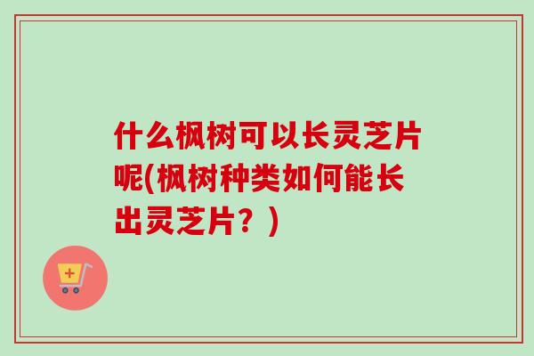 什么枫树可以长灵芝片呢(枫树种类如何能长出灵芝片?)-第1张图片-卓越灵芝孢子粉 什么枫树可以长灵芝片呢(枫树种类如何能长出灵芝片?)-第1张图片-卓越灵芝孢子粉
