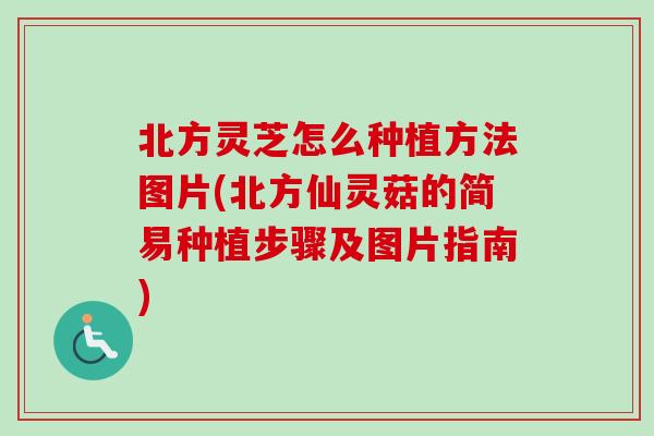 北方灵芝怎么种植方法图片(北方仙灵菇的简易种植步骤及图片指南)-第1张图片-卓越灵芝孢子粉 北方灵芝怎么种植方法图片(北方仙灵菇的简易种植步骤及图片指南)-第1张图片-卓越灵芝孢子粉