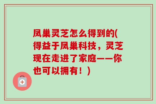 凤巢灵芝怎么得到的(得益于凤巢科技,灵芝现在走进了家庭——你也可以拥有!)-第1张图片-卓越灵芝孢子粉 凤巢灵芝怎么得到的(得益于凤巢科技,灵芝现在走进了家庭——你也可以拥有!)-第1张图片-卓越灵芝孢子粉