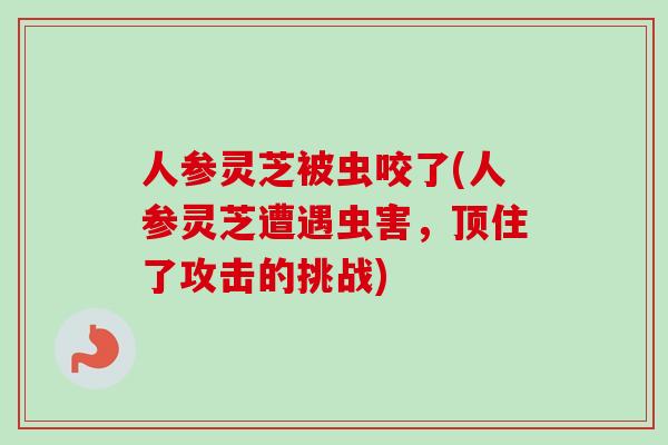人参灵芝被虫咬了(人参灵芝遭遇虫害,顶住了攻击的挑战)-第1张图片-卓越灵芝孢子粉 人参灵芝被虫咬了(人参灵芝遭遇虫害,顶住了攻击的挑战)-第1张图片-卓越灵芝孢子粉