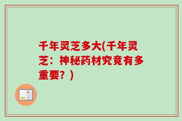 千年灵芝多大(千年灵芝:神秘药材究竟有多重要?)-第1张图片-卓越灵芝孢子粉 千年灵芝多大(千年灵芝:神秘药材究竟有多重要?)-第1张图片-卓越灵芝孢子粉