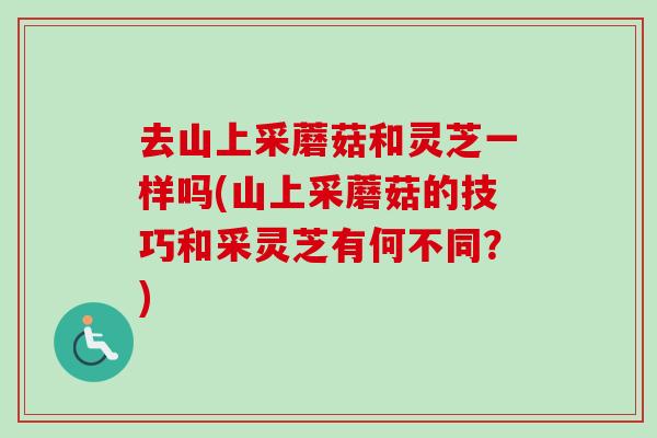 去山上采蘑菇和灵芝一样吗(山上采蘑菇的技巧和采灵芝有何不同？)-第1张图片-卓越灵芝孢子粉