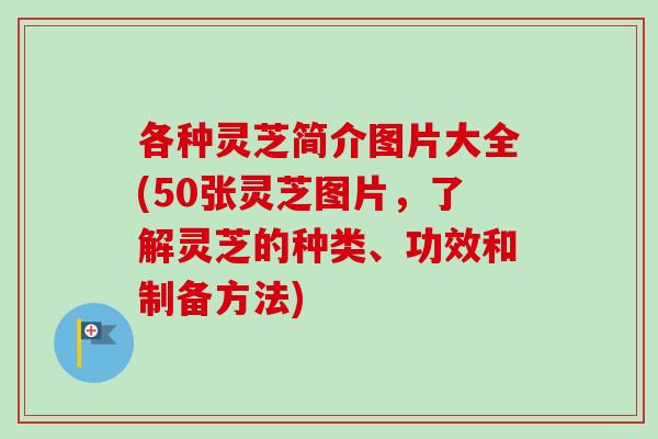 各种灵芝简介图片大全(50张灵芝图片,了解灵芝的种类、功效和制备方法)-第1张图片-卓越灵芝孢子粉 各种灵芝简介图片大全(50张灵芝图片,了解灵芝的种类、功效和制备方法)-第1张图片-卓越灵芝孢子粉