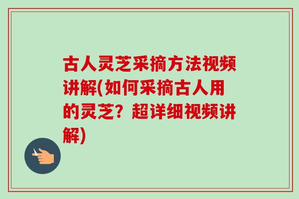 古人灵芝采摘方法视频讲解(如何采摘古人用的灵芝？超详细视频讲解)-第1张图片-卓越灵芝孢子粉