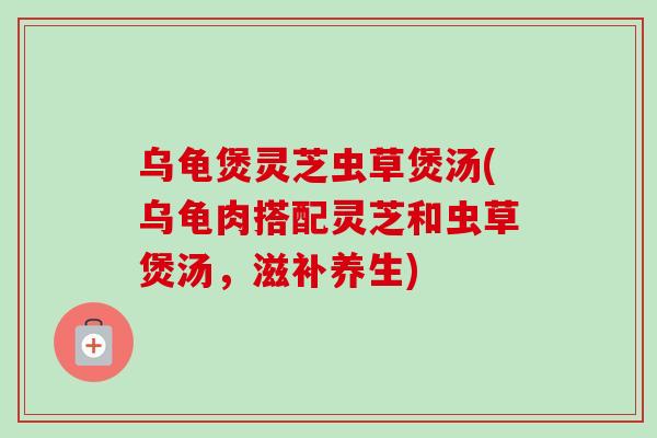 乌龟煲灵芝虫草煲汤(乌龟肉搭配灵芝和虫草煲汤,滋补养生)-第1张图片-卓越灵芝孢子粉 乌龟煲灵芝虫草煲汤(乌龟肉搭配灵芝和虫草煲汤,滋补养生)-第1张图片-卓越灵芝孢子粉