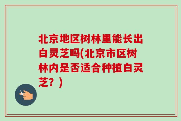 北京地区树林里能长出白灵芝吗(北京市区树林内是否适合种植白灵芝?)-第1张图片-卓越灵芝孢子粉 北京地区树林里能长出白灵芝吗(北京市区树林内是否适合种植白灵芝?)-第1张图片-卓越灵芝孢子粉